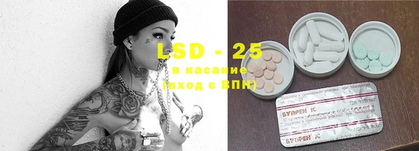 PSILOCYBIN Богданович