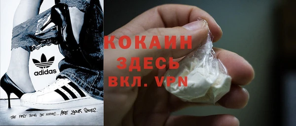 дживик Богородицк
