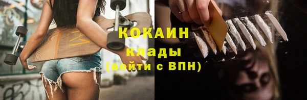 дживик Богородицк
