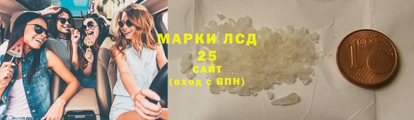 PSILOCYBIN Богданович