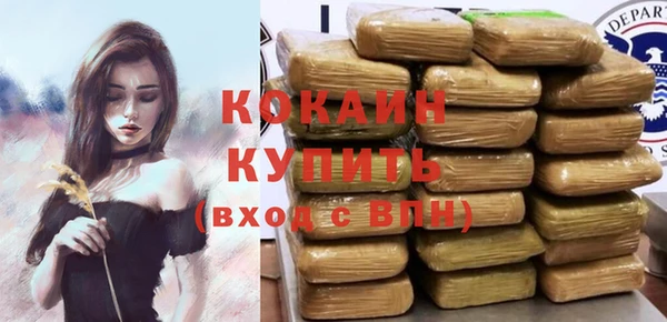 PSILOCYBIN Богданович