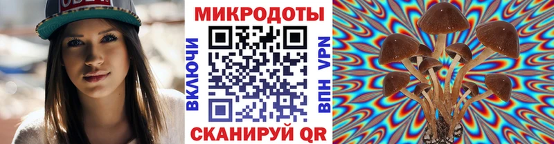 Псилоцибиновые грибы Psilocybe  KRAKEN зеркало  Волосово  купить  